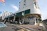 周辺：マルエツ浦安店まで309m