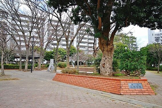 奥田三角公園ま...