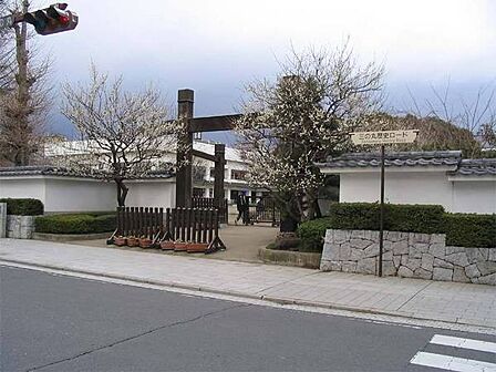水戸市立三の丸小学校まで893m