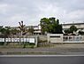周辺：水戸市立寿小学校まで1245m