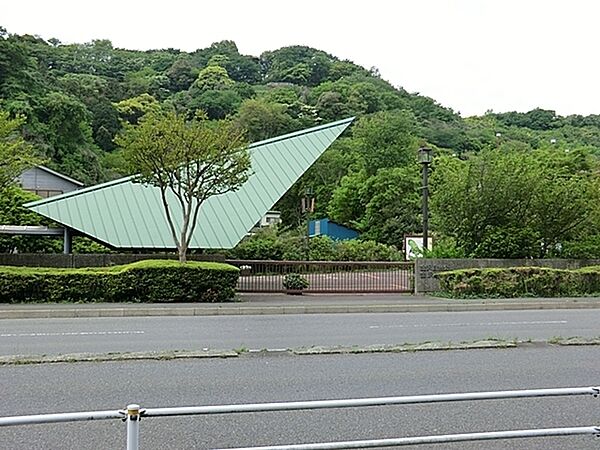 周辺を拡大表示