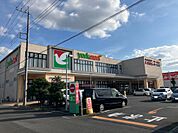 ヨークマート越谷花田店（745m）