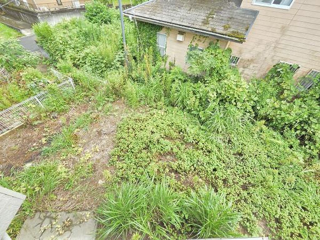Image 27
