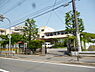 周辺：青風和泉幼稚園まで736m