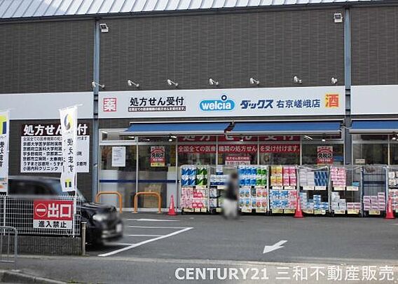 ダックス右京嵯...