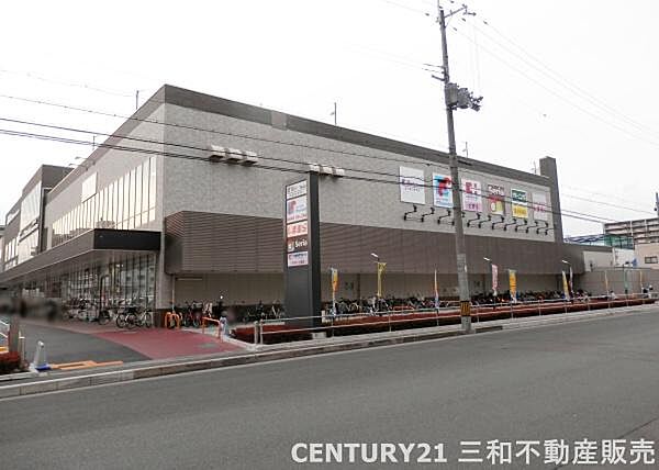 周辺を拡大表示