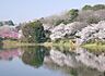 周辺：三ツ池公園まで1000m、三ツ池公園