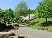 岸根公園まで1000m、岸根公園