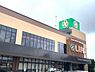 周辺：ライフ上鶴間店まで1300m、ライフ上鶴間店