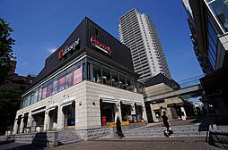 代官山アドレス・ディセまで50m