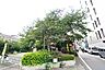 周辺：渋谷区立桜丘公園まで700m