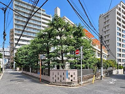 外観:建物外観(2026.10撮影)/京王新線「初台」駅歩2分、小田急線「参宮橋」駅歩10分、駅近、駅前には商店街もあり飲食店やお買い物施設が多く毎日の生活に便利な立地です。 外観:建物外観(2026.10撮影)/京王新線「初台」駅歩2分、小田急線「参宮橋」駅歩10分、駅近、駅前には商店街もあり飲食店やお買い物施設が多く毎日の生活に便利な立地です。