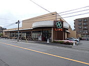 ライフ 上池台店まで1114m
