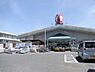 周辺：コメリハード＆グリーン河内河南店まで150m