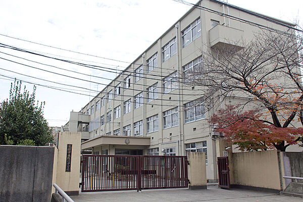 画像26:京都市立桂川中学校まで192m