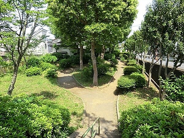 周辺を拡大表示