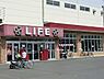 周辺：ライフ鎌倉大船モール店まで1000m、広い店内は、所狭しと商品が陳列してあります。お目当てのモノもきっと見つかる宝探し。ゆっくりお買い物を楽しめます。