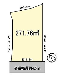条件無