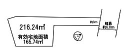 条件無