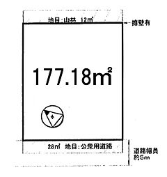 条件無