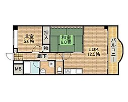 エミグランド平兵衛 6階/-