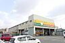 周辺：ジャパン泉大津店まで561m