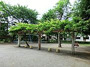 駅前町公園まで524m、駅前町公園は藤沢市にある住宅街の十分な広さの公園です。馴染み深い公園です。公園の設備には水飲み・手洗いがあります。