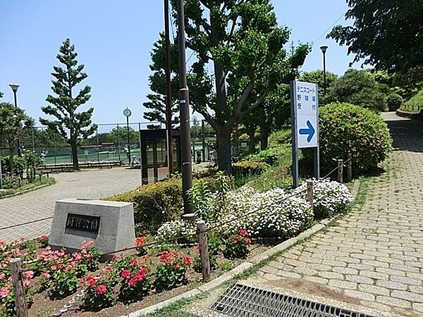 周辺を拡大表示