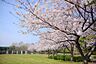 周辺：長久保公園まで1036m