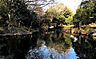周辺：むじなが池公園まで860m