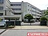 周辺：松戸市立八ケ崎小学校まで850m、徒歩約11分お子様の通学も安心ですね