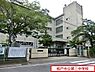 周辺：松戸市立第三中学校まで700m、徒歩約9分部活で遅くなっても安心ですね