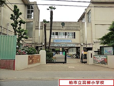 柏市立高柳小学校まで350m、徒歩約5分お子様の通学も安心ですね