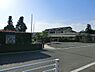 周辺：さかいね幼稚園まで734m