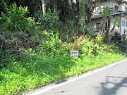 R5.4.22撮影　道路東側より西方向撮影（中間部）