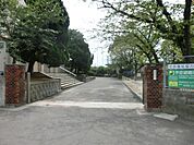 中井小学校(241m)
