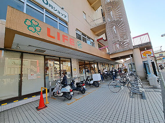 ライフ向ヶ丘遊...