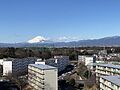 天気の良い日は...