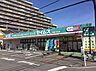 周辺：ドラッグセイムス 湘南台店まで400m、ドラッグセイムス 湘南台店