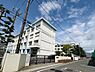 周辺：藤沢市立湘南台小学校まで520m