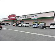 クスリのアオキまで1363m