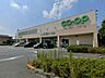 周辺：コープ東岩槻店まで約350m