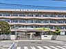 周辺：鴨川小学校まで約460m