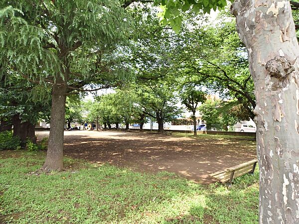 周辺を拡大表示