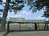 周辺：見沼小学校まで約600m
