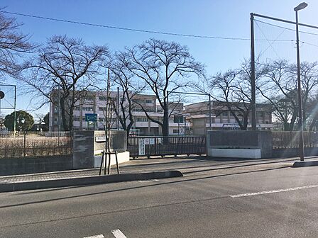 芝川小学校まで約500m