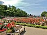 周辺：与野公園まで約300m