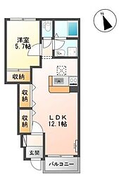 ラ・カンパネラ　新開 1階1LDKの間取り