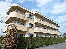 ファルコーネ 301