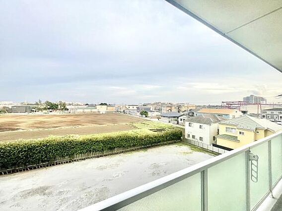 広々とした現地...
